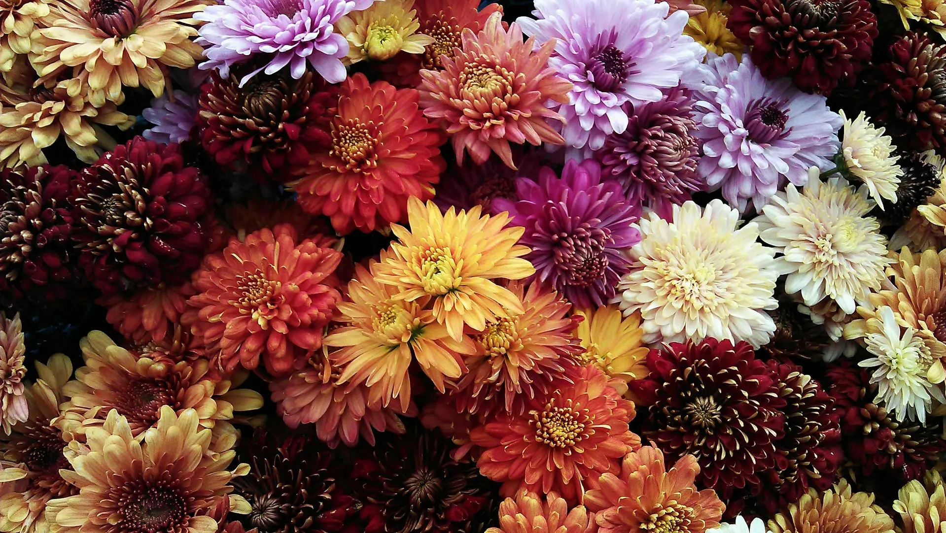 flowers background
